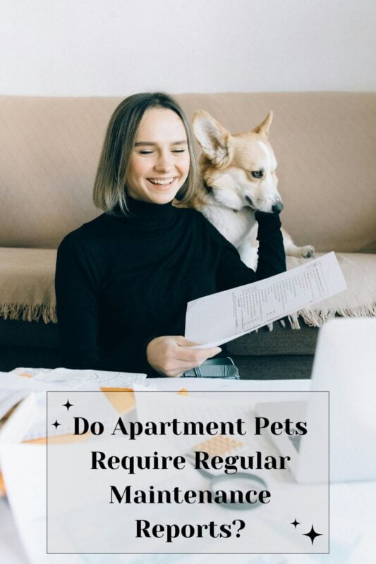 Do Apartment Pets Require Regular Maintenance Reports?