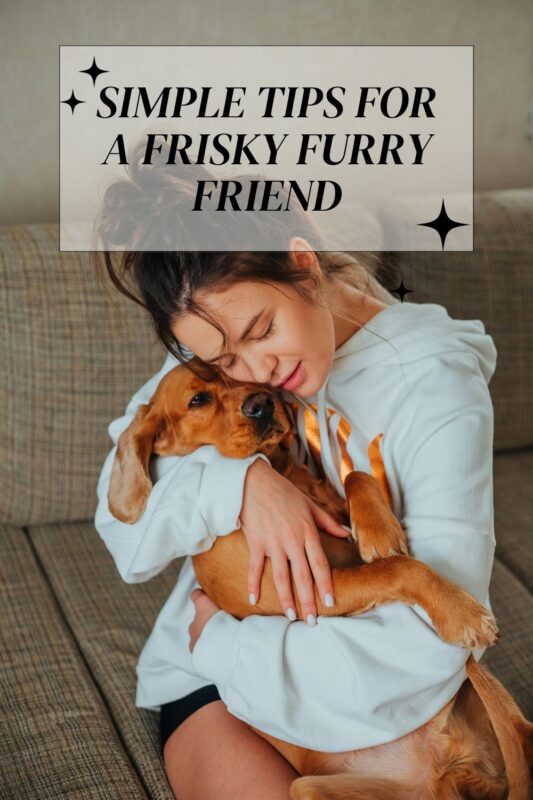 How to Increase Your Dog's Libido: Simple Tips for a Frisky Furry Friend