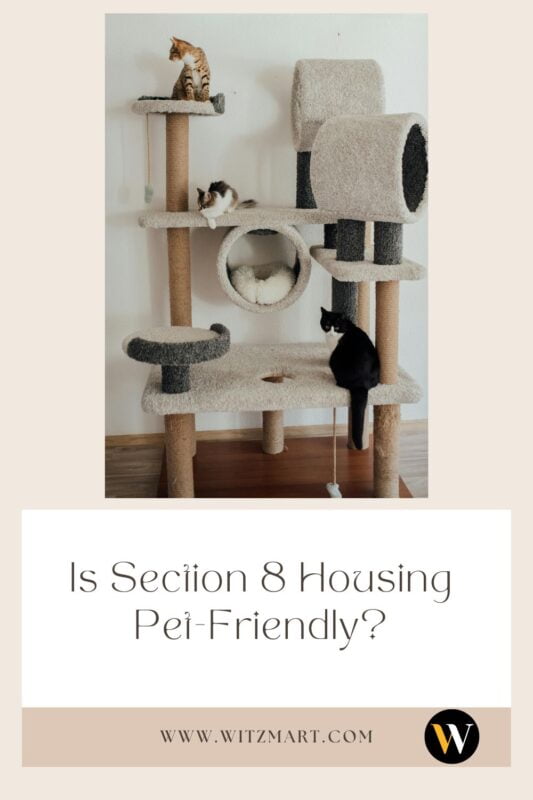 Is Section 8 Housing Pet-Friendly?