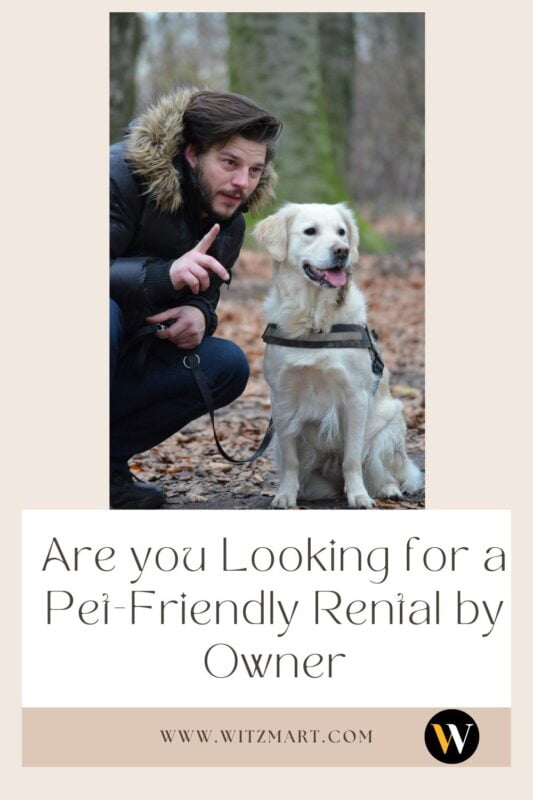 Are you Looking for a Pet-Friendly Rental by Owner?