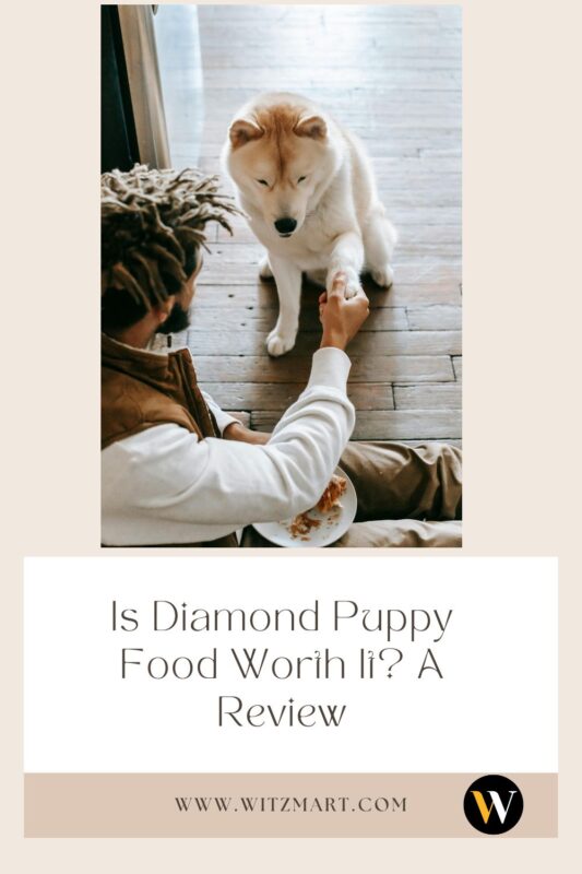 Is Diamond Puppy Food Worth It? A Review