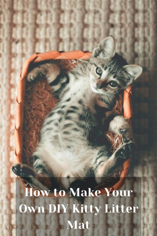 How to Make Your Own DIY Kitty Litter Mat