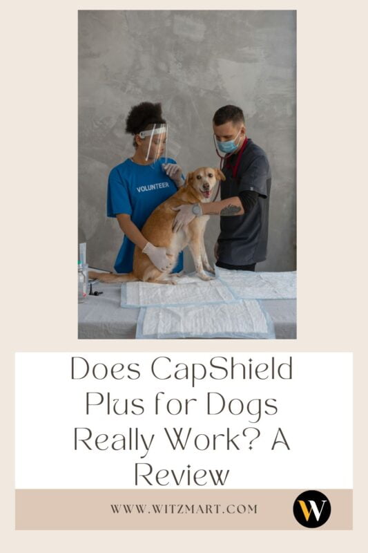 Does CapShield Plus for Dogs Really Work? A Review