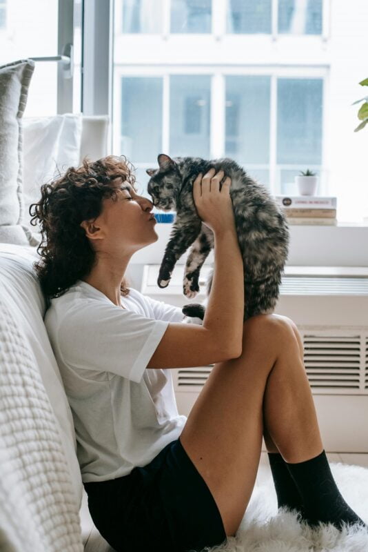 Why Does My Cat Bite Me in the Morning? Understanding Your Feline's Behavior