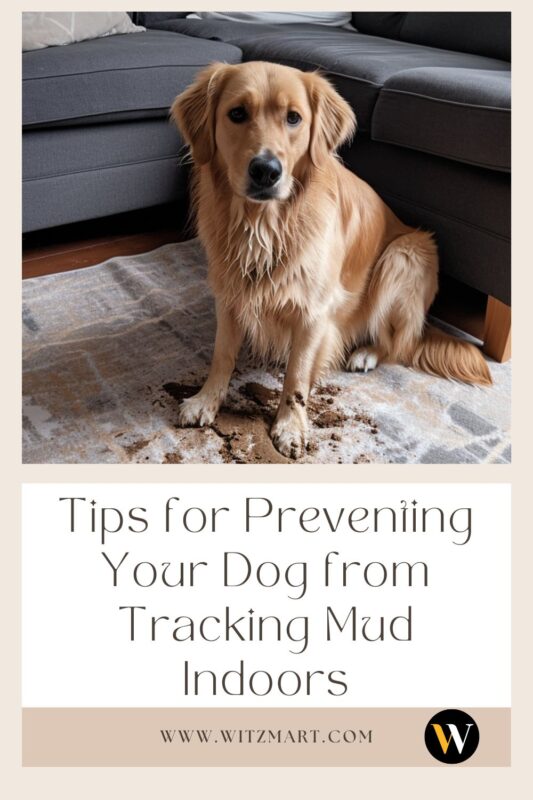 Tips for Preventing Your Dog from Tracking Mud Indoors