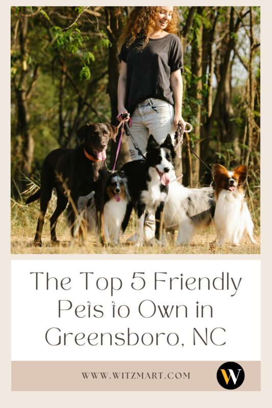 The Top 5 Friendly Pets to Own in Greensboro, NC