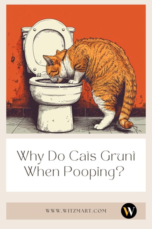 Why Do Cats Grunt When Pooping? Explaining this Common Feline Behavior