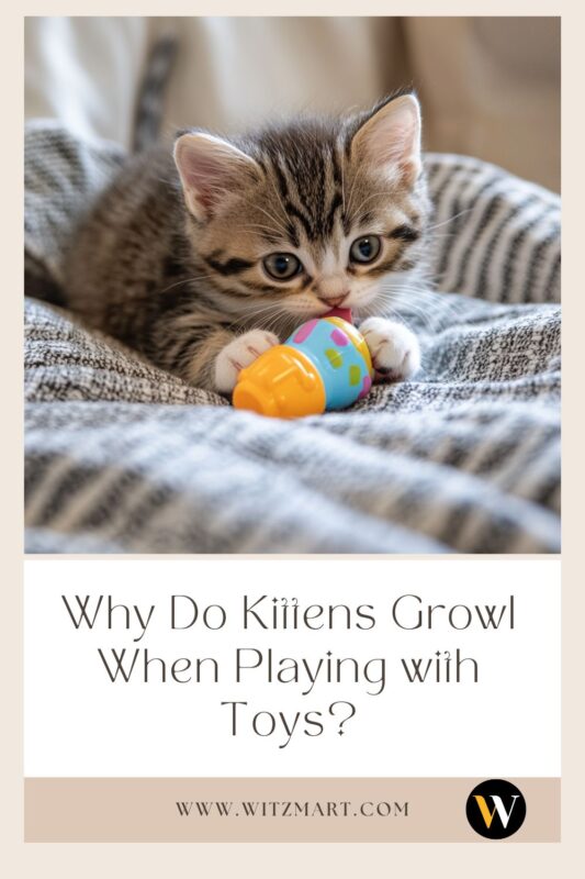 Why Do Kittens Growl When Playing with Toys?