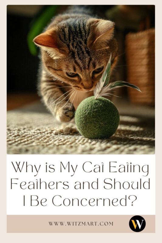 Why is My Cat Eating Feathers and Should I Be Concerned?