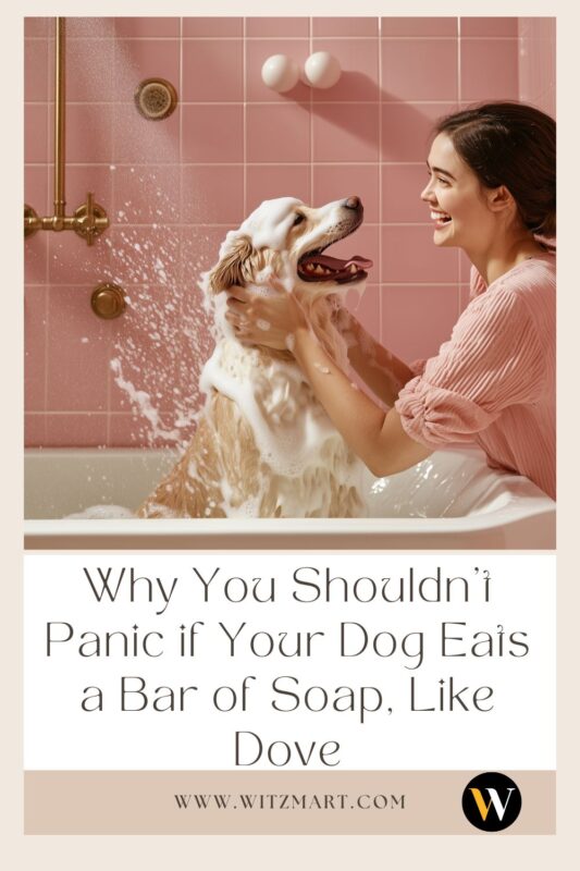 Why You Shouldn't Panic if Your Dog Eats a Bar of Soap, Like Dove