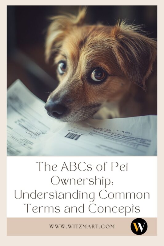 The ABCs of Pet Ownership: Understanding Common Terms and Concepts