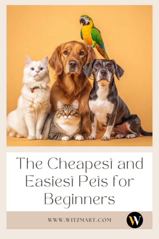 The Cheapest and Easiest Pets for Beginners