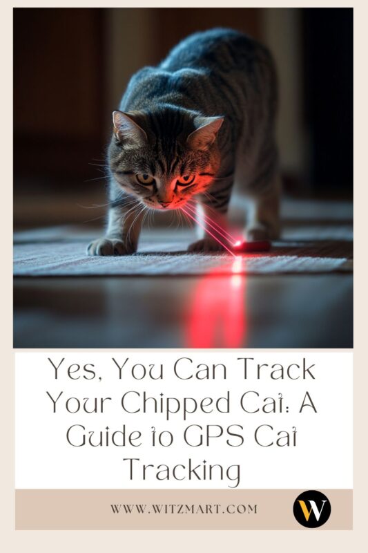 Yes, You Can Track Your Chipped Cat: A Guide to GPS Cat Tracking