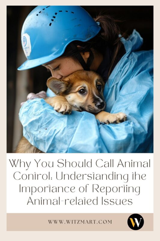 Why You Should Call Animal Control: Understanding the Importance of Reporting Animal-related Issues