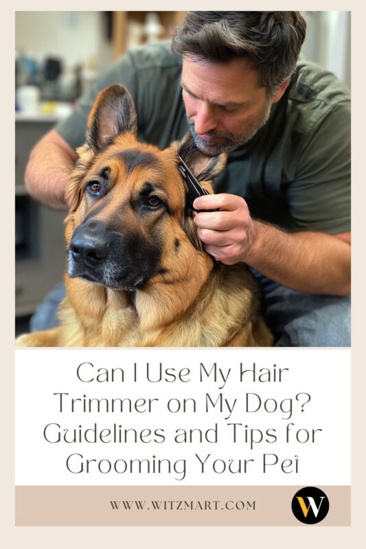 Can I Use My Hair Trimmer on My Dog? Guidelines and Tips for Grooming Your Pet