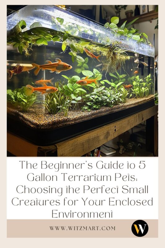 The Beginner's Guide to 5 Gallon Terrarium Pets: Choosing the Perfect Small Creatures for Your Enclosed Environment