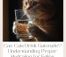 Can Cats Drink Gatorade? Understanding Proper Hydration for Feline Friends